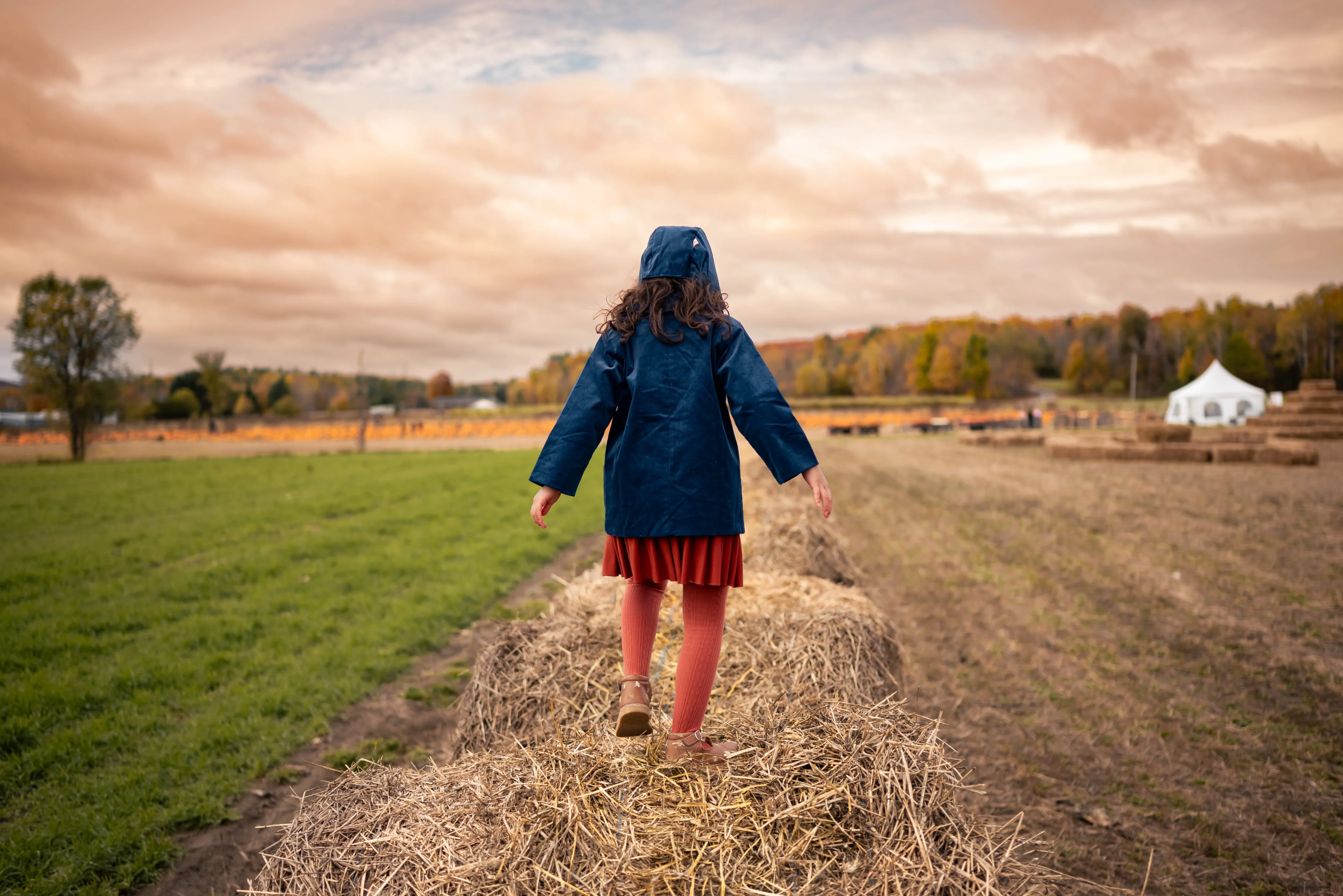 Cornflower Corduroy Coat