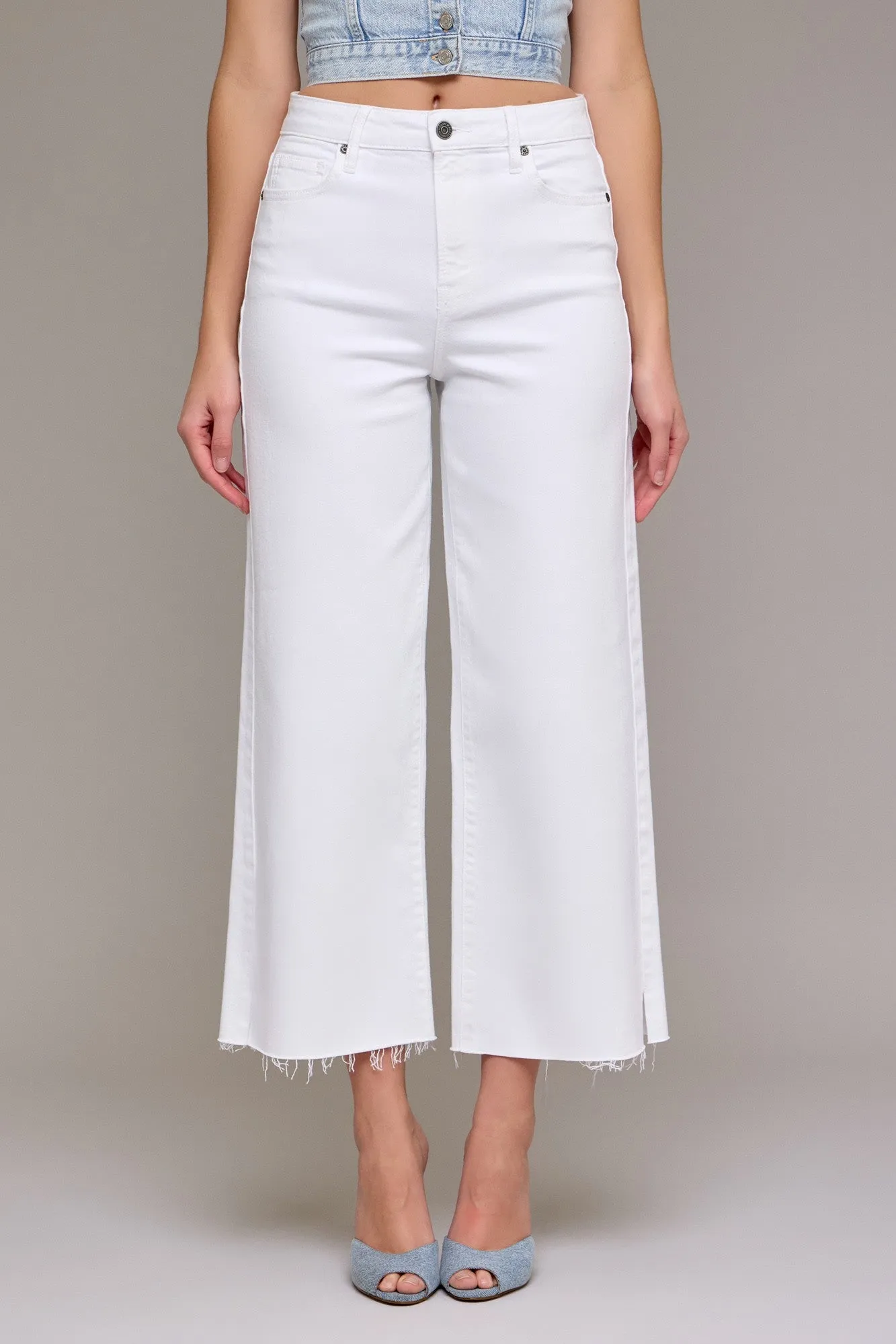 Hidden Nori Crop Wide Leg Jean