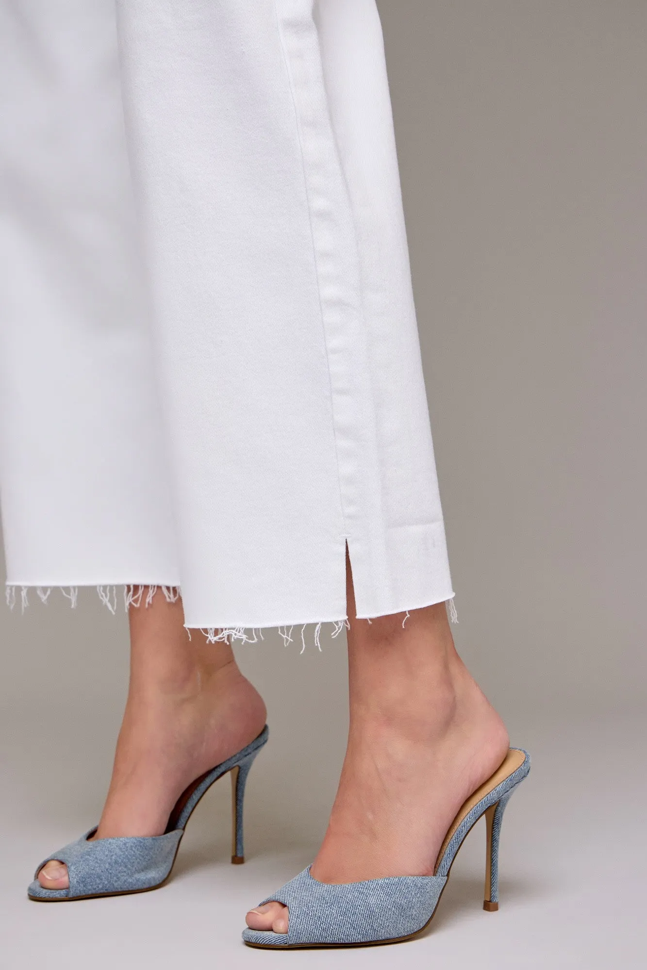 Hidden Nori Crop Wide Leg Jean
