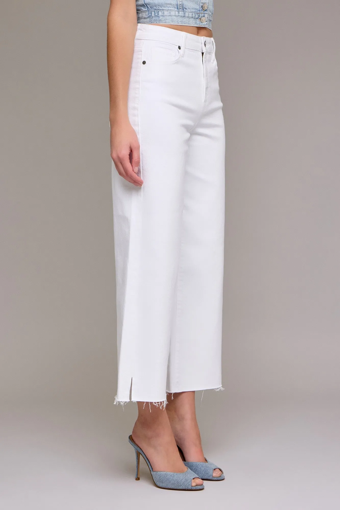 Hidden Nori Crop Wide Leg Jean
